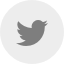 X (Twitter)